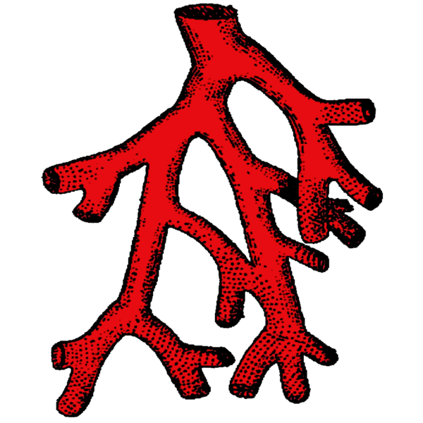 File:Coral Branch.png