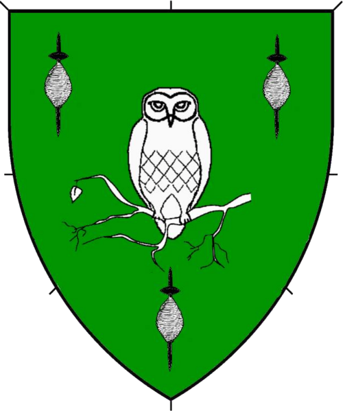 File:Siobhán NicDhuinnshléibhe-device.png