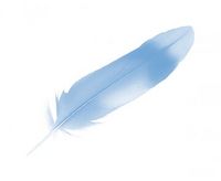 Clan Blue Feather Ally