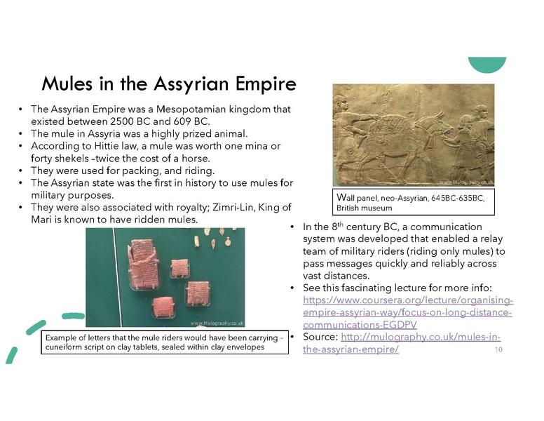 File:Magnificent Mule.pdf