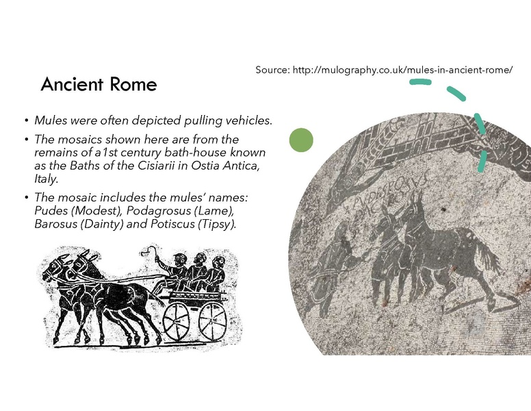 File:Magnificent Mule.pdf