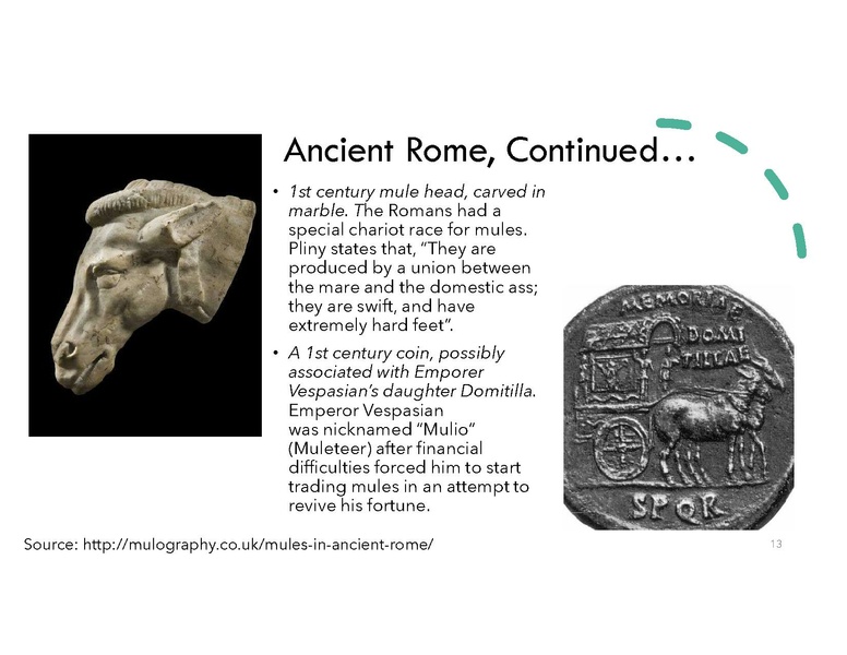 File:Magnificent Mule.pdf