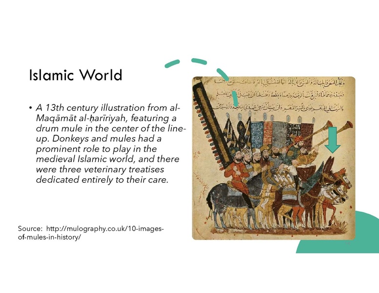 File:Magnificent Mule.pdf