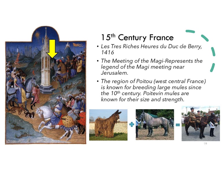 File:Magnificent Mule.pdf