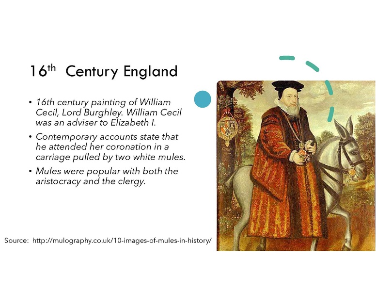 File:Magnificent Mule.pdf