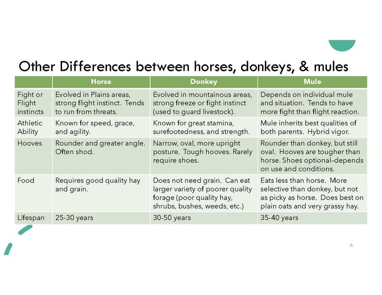 File:Magnificent Mule.pdf