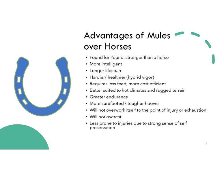 File:Magnificent Mule.pdf