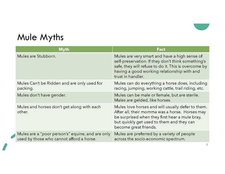 File:Magnificent Mule.pdf