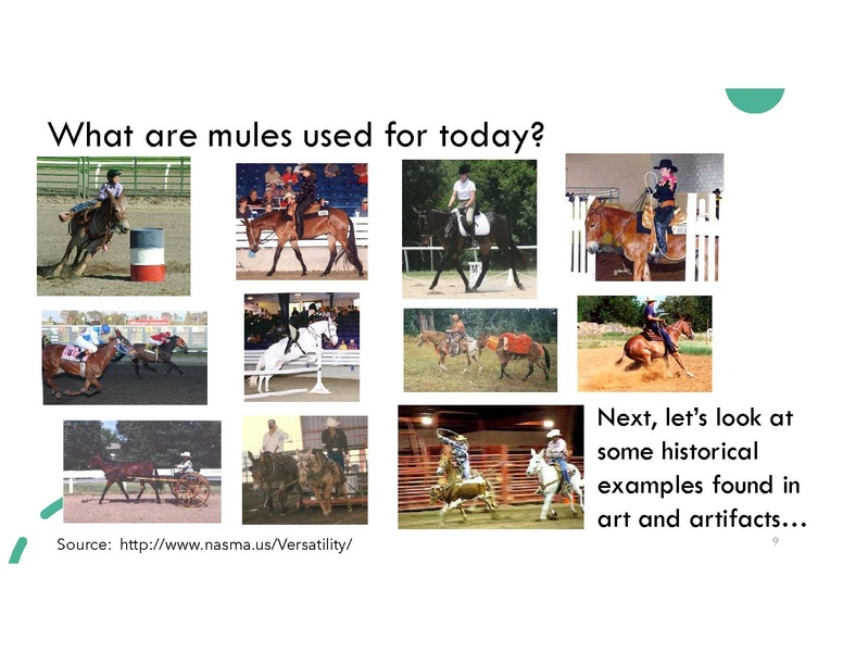 File:Magnificent Mule.pdf