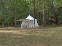 Fall Coronation, October 2019